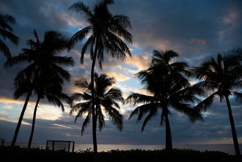 ハワイ・オアフ島の雄大な自然に癒される
