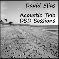 Acoustic Trio DSD Sessions  (Pure DSD64 Studio Master)