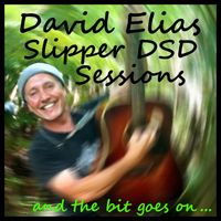 Slipper DSD Sessions (Remastered FLAC with MQA)) by David Elias
