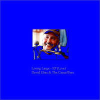 Living Large (Live EP) by David Elias Music Store