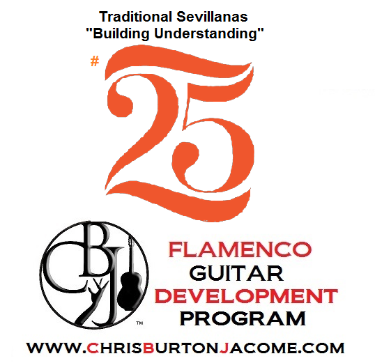 Sevillanas "Building Understanding" - CBJ DEVPRO #25 (July 2021)