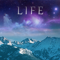 Life by Tim Gardinier