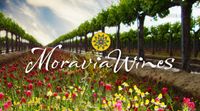 Natural Bridge at Moravia Winery