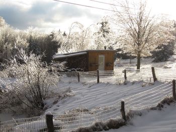 Studio After Ice Storm
