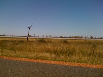 Condobolin in central western NSW

