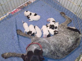 2 days old.
