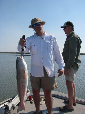 A HUGE redfish caught in Mosquito Lagoon in March 2011
