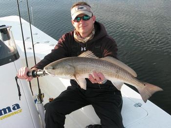 Had a great morning fishing Cedar Key - Caught about 20 'Nice' Reds!
