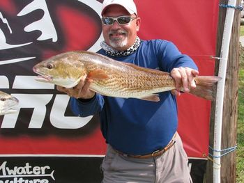 1st place finish for Capt. Mark Brady and Troy in the West Coast Pro Redfish series in Homosassa, Florida on September 17th, 2011

