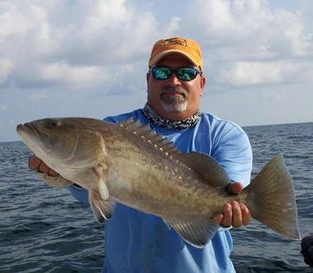 Offshore Tournament in Crystal River, Florida. We caught over 100 that day!
