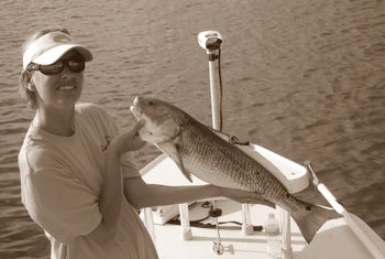 nice redfish from suwannee, florida
