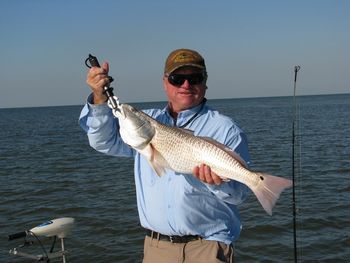 Very nice redfish caught in the Wacassassa area in February, 2011
