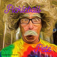 Pickleball Pete by Brian O'Day www.brianodaymusic.com