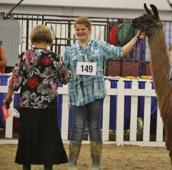 Grand Champion Non-Breeder at ISF
