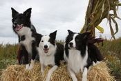 Flare with her sister Lily and Daddy Tripp. Photo Courtesy of Power Tripp Photography
