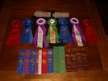 Joon's Loot from Perry GA conformtion and Barn Hunt 2016
