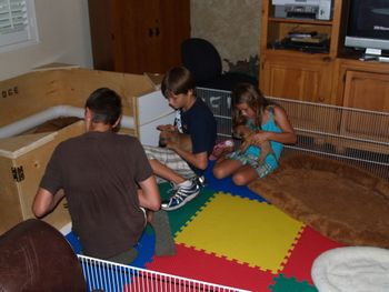 Kids enjoying the puppies
