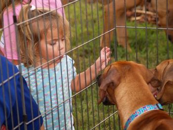 Little people saying hi to Roxy
