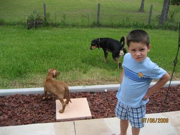 Jacob checking out his new puppy
