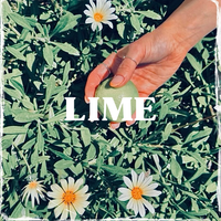 Lime by Poems