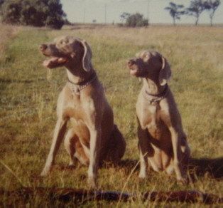 Zac & Tara ~ 1983...
