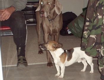 Stan with his little mate Jock..
