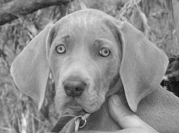 Bree looking cute in black & white...
