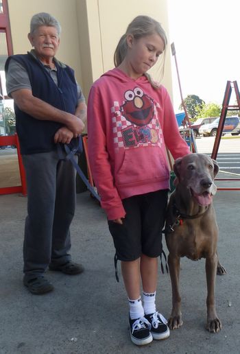 Stan with Kodie at Bunnings..
