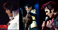 Elvis Tribute Artist Spectacular 