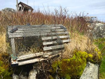 Lobster traps in Peggy's Cove.
