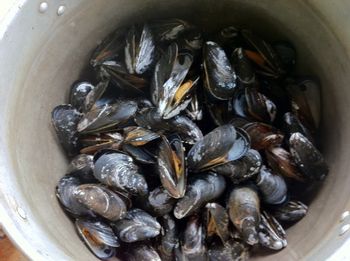 Fresh mussels - awesome!

