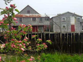 Smoked Herring Stands, a National Historic Site on Grand Manan.
