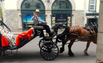 Everyone's happy in Old Quebec!
