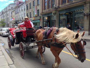 Horse & carriage rides in Old Quebec. Gerald gets full photography credit for this awesome shot!
