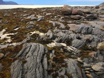 The amazing rock formations on Rocky Harbour beach.
