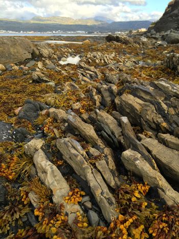 Rocky Harbour beach at low tide...
