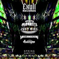 Exult Series: 001 by Various Artists