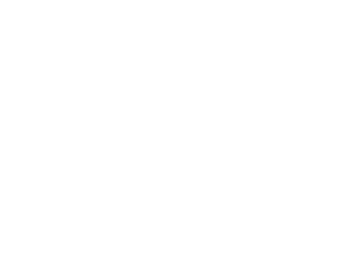 The Easy Wild