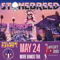 AMERICAN HEADTRIP / STONEBREED