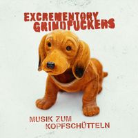 Musik zum Kopfschütteln: CD