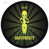 12" Repinique Grooversity Remo Head