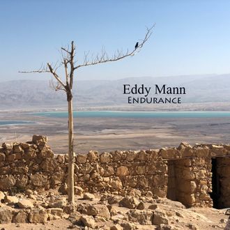 Endurance - 2019