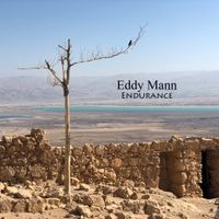 Endurance by Eddy Mann