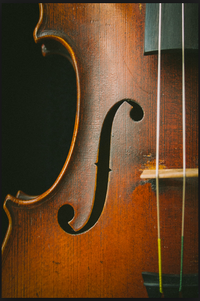 Now Offering: Violin/ Fiddle Tuition! 