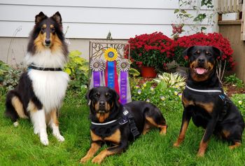 Booker, Gabbi and Seren
