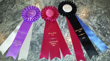 Anna's Nosework 1 ribbons with 2nd High in Trial!
