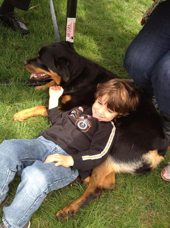 Rizzo at 9 months with one of her best buddies. Hanging out at a Harley Davidson open house event, she was a great representative of the breed! Good girl Rizzo!
