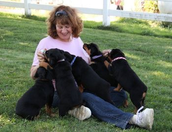 Puppies with their Grandma Karla Niessing
