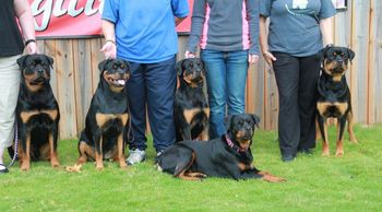 Noel (front) with 4 of the puppies from her first litter: Stryder, Atta, Gabbi and Deek
