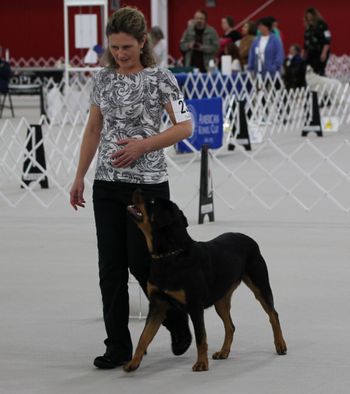Competing at AKC Rally Nationals 2015
